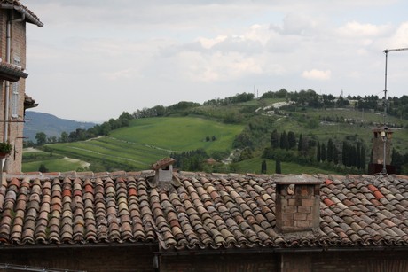 urbino