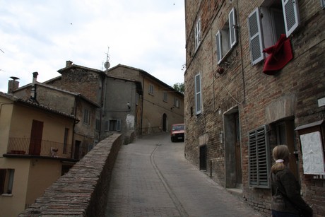 urbino