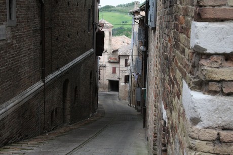 urbino