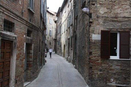 urbino