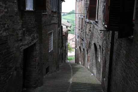 urbino