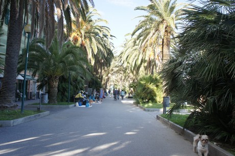 varazze