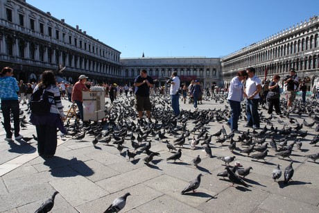 markusplatz