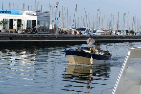 viareggio