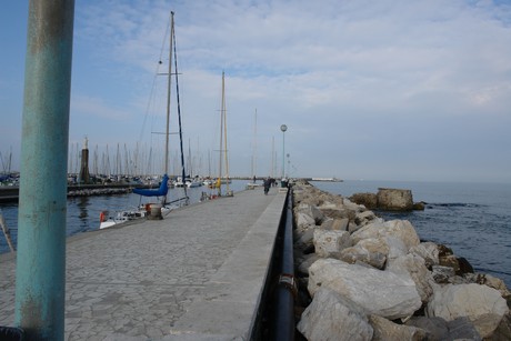 viareggio
