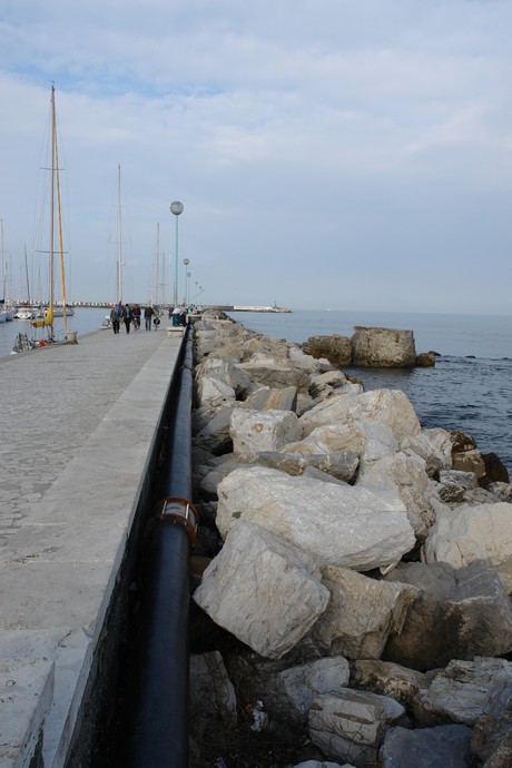 viareggio