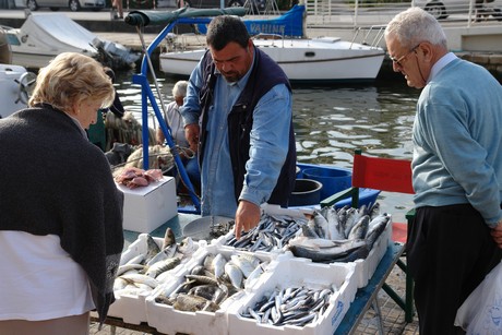 viareggio