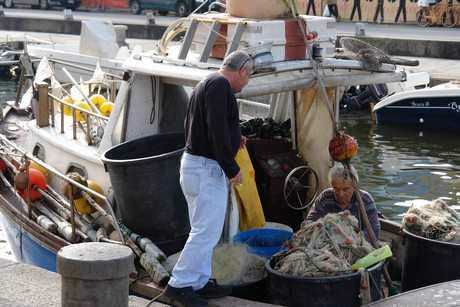 viareggio