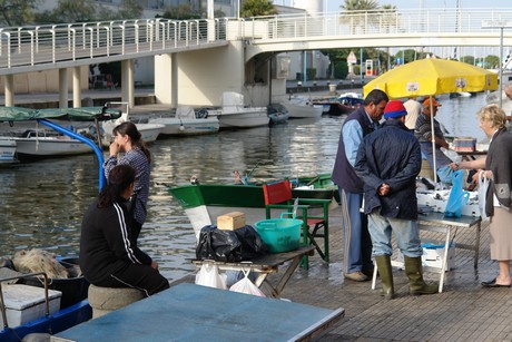 viareggio